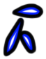 Image of the occurrence